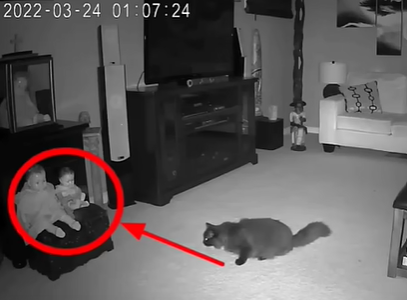 قطة شاهدت شبحًا؟ فيديو يثير الجدل على السوشيال