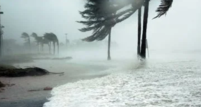 الذكاء الاصطناعي يتنبأ بعواصف المد والجزر بدقة وسرعة